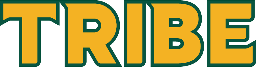 William and Mary Tribe 2022-Pres Wordmark Logo diy iron on heat transfer